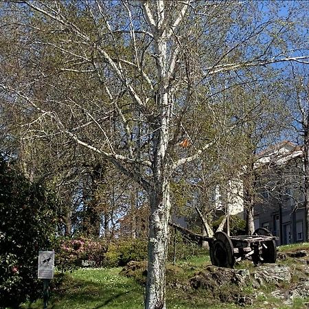 Campo De Estrellas Apartment Сантяго де Компостела Екстериор снимка